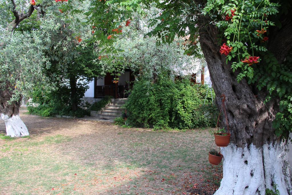 Appartement Patroudis House à Skala Rachoni  Chambre photo